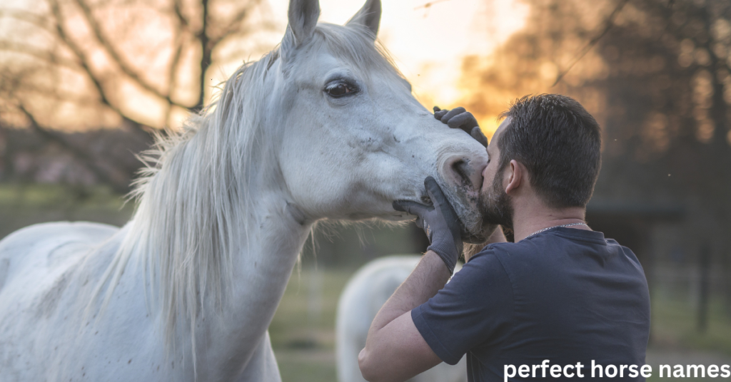 do horses know their names